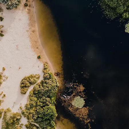 't Schelpje With Free Parking Daire Zandvoort