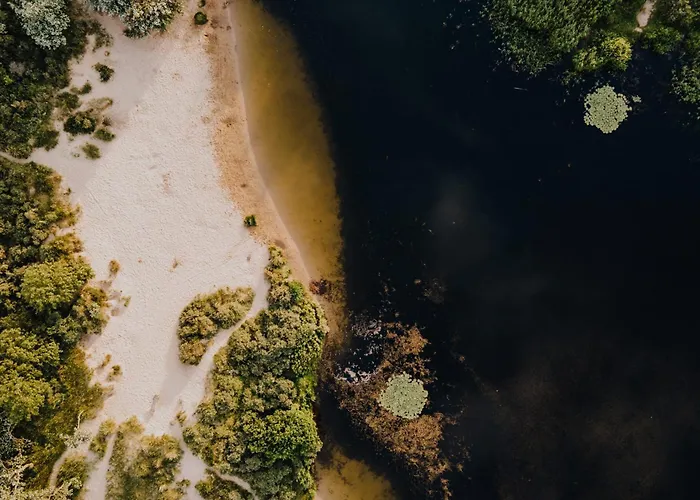 't Schelpje With Free Parking 아파트 잔드보르트